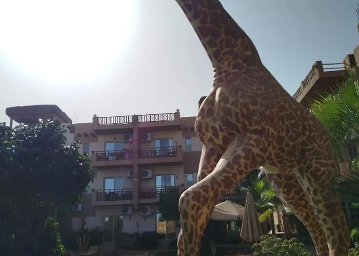 Otel Jungle Sweet Compound Hurgada