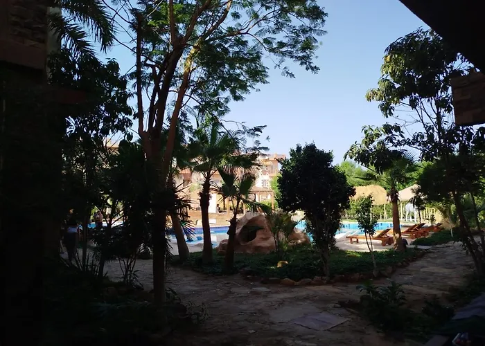 Otel Jungle Sweet Compound